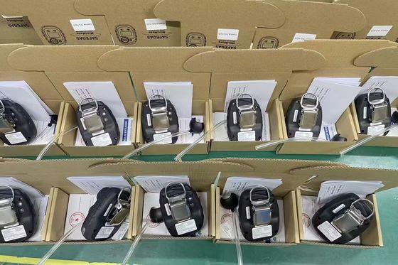Portable Ozone Gas Detector with IP66/68 Protection 0.01ppm Resolution, and Electrochemical Principle for Industrial Safety