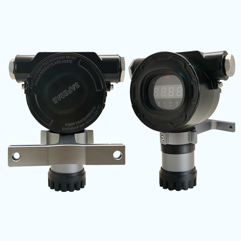 Continuous Monitoring Ammonia Gas Detector with IP66 IP68 and Electrochemical Sensor for Cold-Storage and Chemical Sites