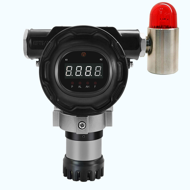 Industrial Ethane Gas Detector with 4-20mA RS485 Modbus Output and IP66/68 Protection Explosion-proof C2H6 Monitor
